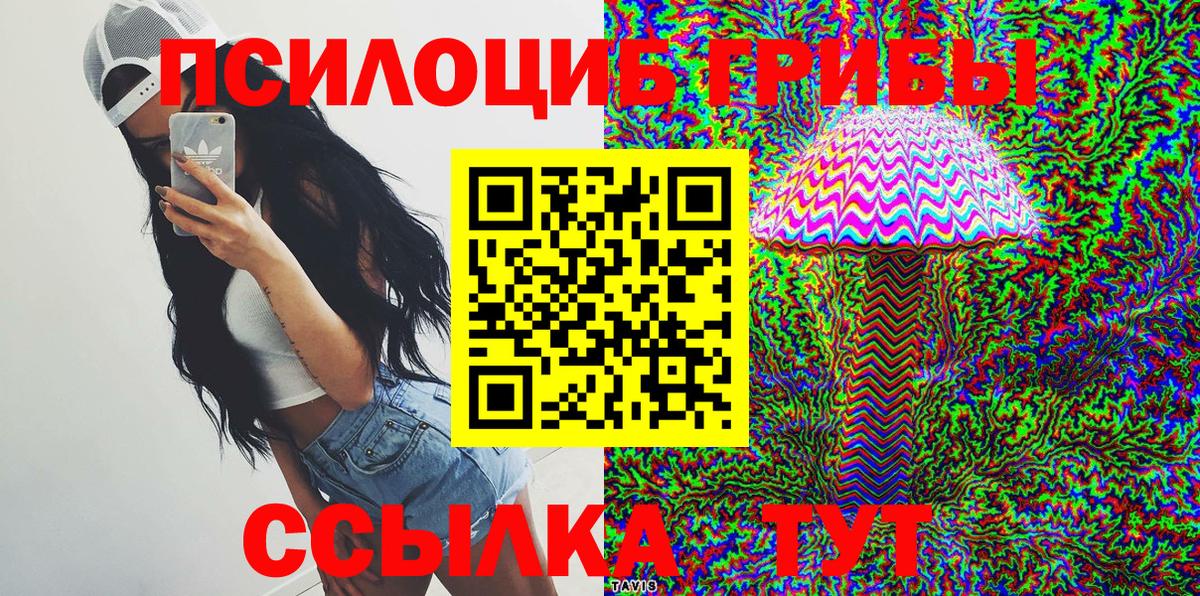 Сокол  Псилоцибиновые грибы Psilocybine cubensis  Вход с VPN 